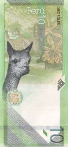Peru 10 soles Alpaka 2022 P-196b