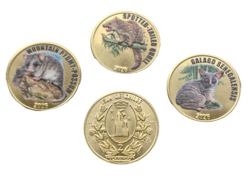 Chile Isla de Chiloe 2f x3 Torbacze 2026 VI
