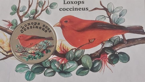 Chile - San Felix 2$ Akepa 2026