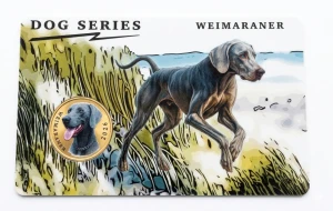 Mjanma Pagan 3 $ Psy - Weimaraner 2026
