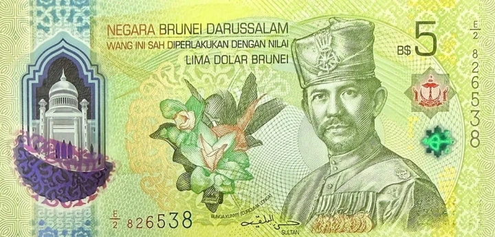 Brunei 5 ringgit Curcuma Longa 2024 P-42a