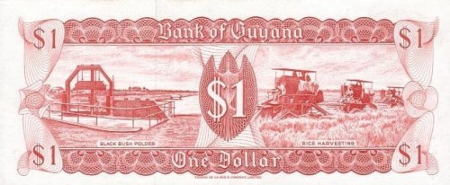 Gujana 1 $ Wodospad Kaiteur 1992 P-21g