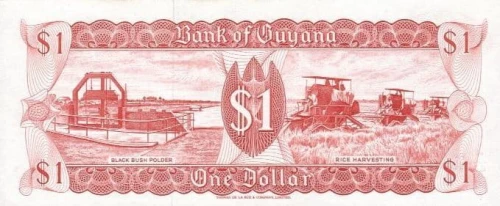 Gujana 1 $ Wodospad Kaiteur 1992 P-21g