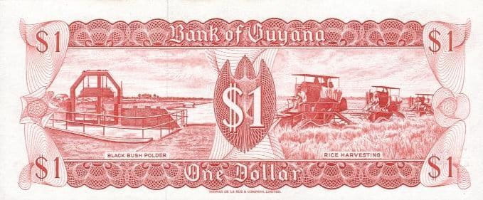 Gujana 1 $ Wodospad Kaiteur 1992 P-21g