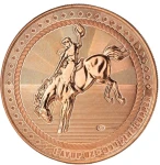  Cowboy with Buffalo 1 oz Cu.999 2026