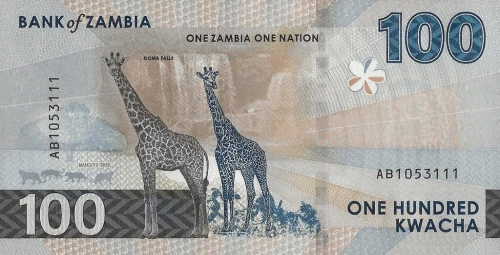 Zambia 100 ZK Żyrafy 2024 P-65