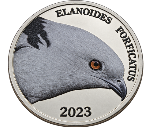 Bahamy New Providence 3$ Jaskólak 2023