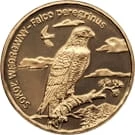 2 zł Sokół wędrowny 2008