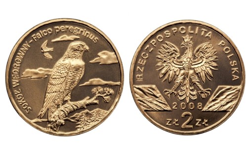 2 zł Sokół wędrowny 2008