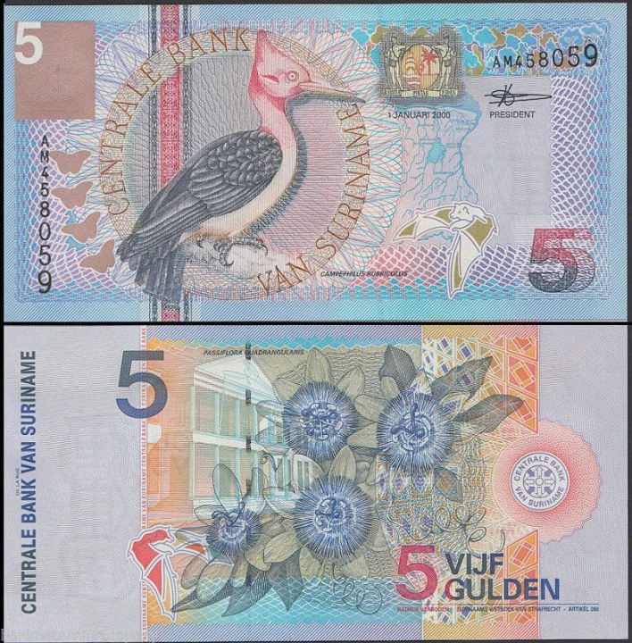 Surinam 5 guldenów Dzięcioł czerwonoszyi 2000 P-146