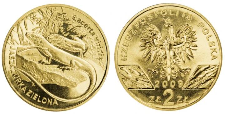 2 zł Jaszczurka zielona (łac. Lacerta viridis) 2009