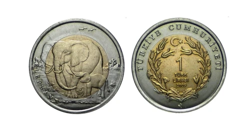 Turcja 1 lira Słoń 2009 