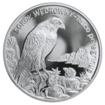 20 zł Sokół wędrowny 2008 PR 69