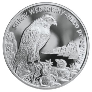 20 zł Sokół wędrowny 2008 PR 69