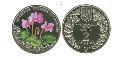 UKRAINA 2 UAH Cyklamen dyskowaty (Kuzniecowa) 2014