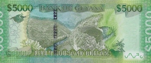 Gujana 5000 dolarów  Rzeka 2013 P-40