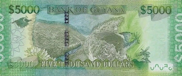Gujana 5000 dolarów  Rzeka 2013 P-40