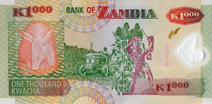 Zambia 1000 kwacha Mrównik 2011 P-44h