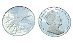 PD Georgia 2 funty Kałamarnica 2017