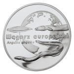 20 zł Węgorz europejski 2003