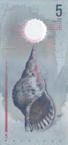 Malediwy 5 rupii Piłkarz / Muszla 2017 P-New