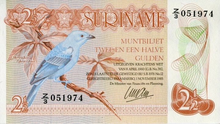 Surinam 2i1/2 guldena Ptak 1985 P-119a