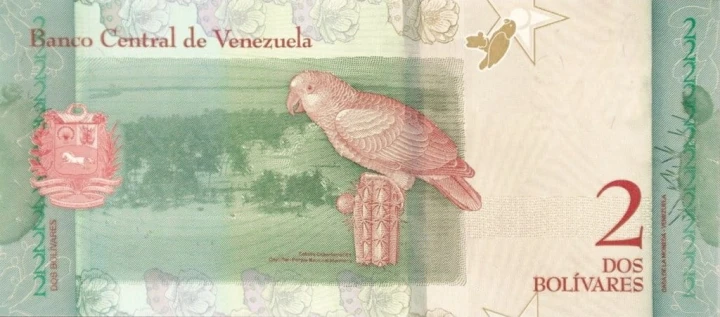 Wenezuela 2 Boliwary Papuga 2018 P-101a