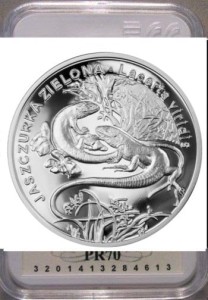 20 zł Jaszczurka zielona (łac. Lacerta viridis) 2009 PR70