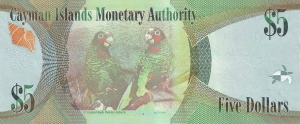 Kajmany 5 $ Papugi 2010 P-39