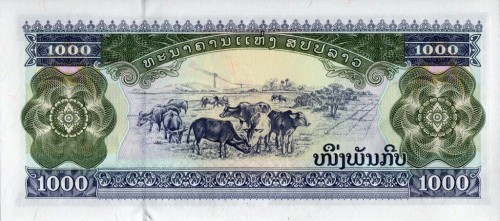 Laos 1000 Kip krowy 2003 P-32 Ab