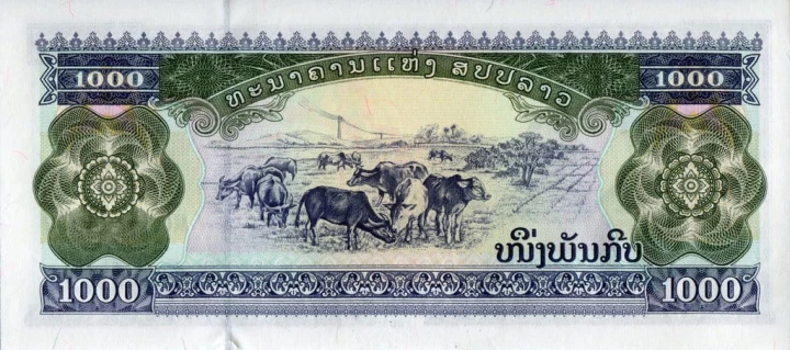 Laos 1000 Kip krowy 2003 P-32 Ab