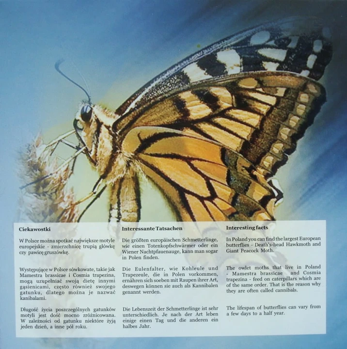 Polskie monety obiegowe Motyl x 7 2011