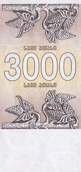 Gruzja 3000 lari Winogrona 1993 P-45
