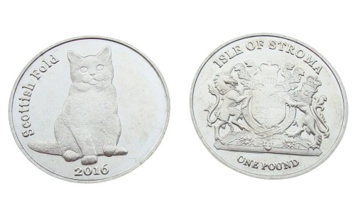 Wyspa Stroma 1 funt Kot Szkocki zwisłouchy 2016