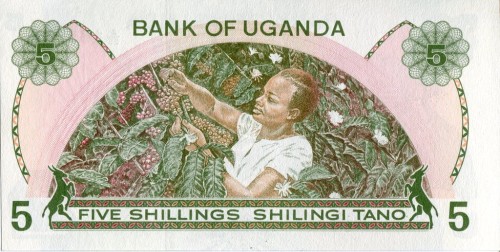 Uganda 5 szylingów Zbiory kawy 1982 P-15
