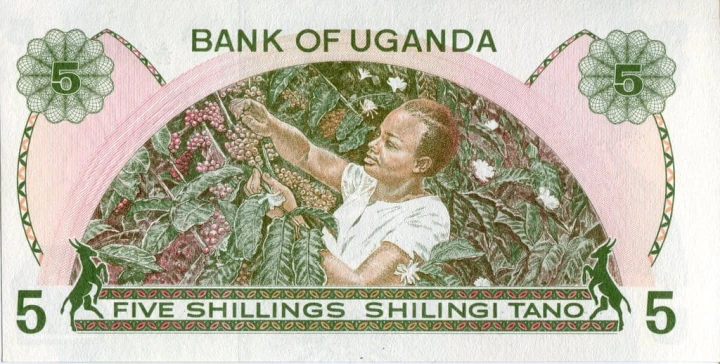 Uganda 5 szylingów Zbiory kawy 1982 P-15