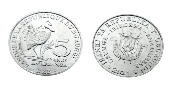Burundi 5 franków Trzewikodziób 2014.jpg