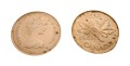 1 cent 1981.jpg