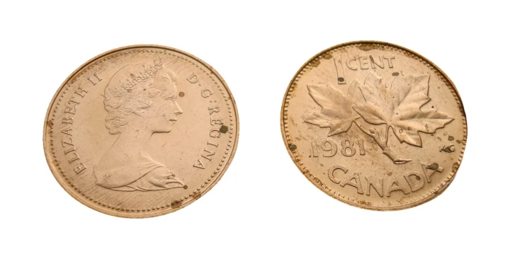1 cent 1981.jpg