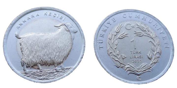 Turcja 1 lira Koza angorska 2015