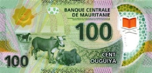Mauretania 100 Ouguiya Krowy 2017 P-23a