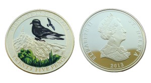 Wyspa Św. Heleny 25p Ptaki - Tajfunnik cienkodzioby 2013