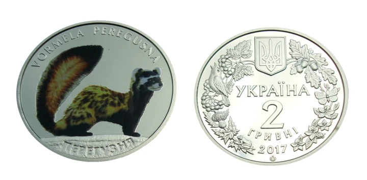 UKRAINA 2 UAH Tchórz marmurkowy 2017