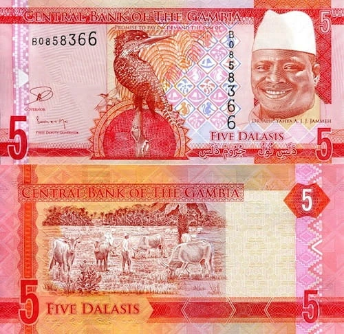 Gambia 5 Dalasi Ptak 2015 P-31a