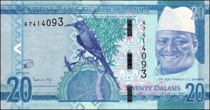 Gambia 20 Dalasi Żołna karminowa 2015 P-33a