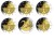 2 euro Niemcyx5 Saksonia Zwinger Drezno 2016 ADFGJ
