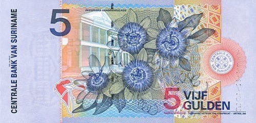 Surinam 5 guldenów Dzięcioł czerwonoszyi 2000 P-146
