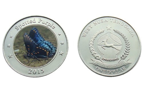 Wyspy Sundajskie Zachodnie Motyl Spotted Purple 2015.jpg